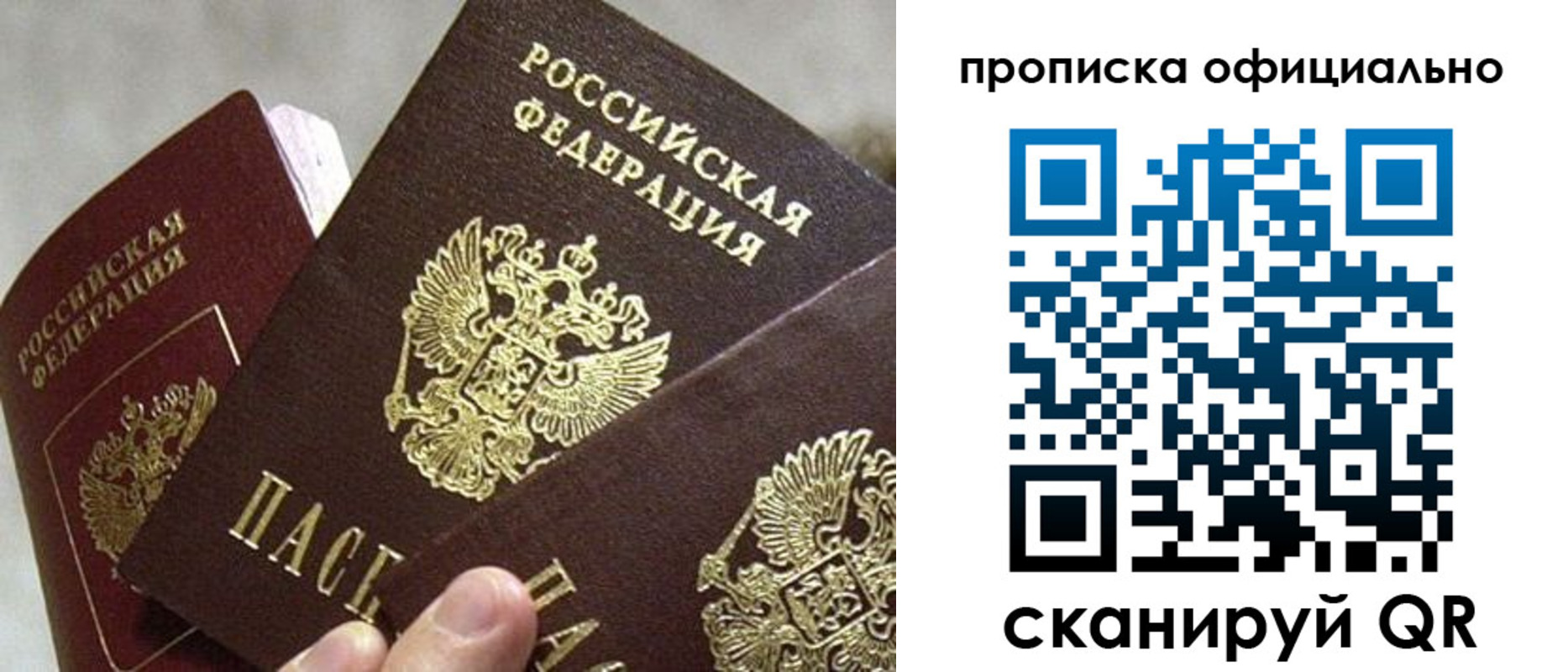 прописка гарантия в Звенигороде